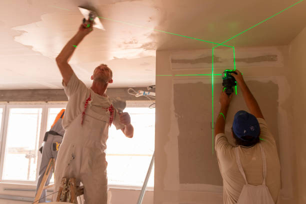 Best New Construction Drywall Services  in USA